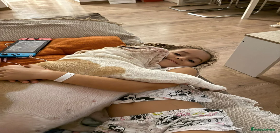 Imagen de galería {{count}}