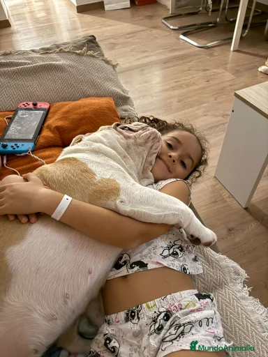 Imagen de galería {{count}}