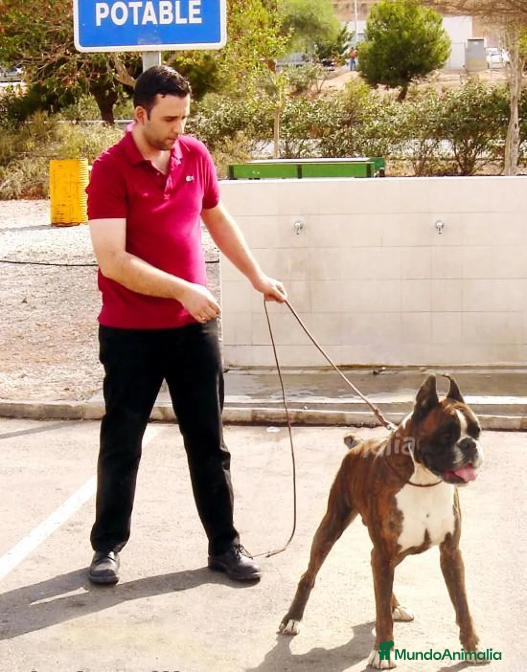 Imagen de galería {{count}}