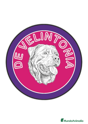 Imagen de galería {{count}}