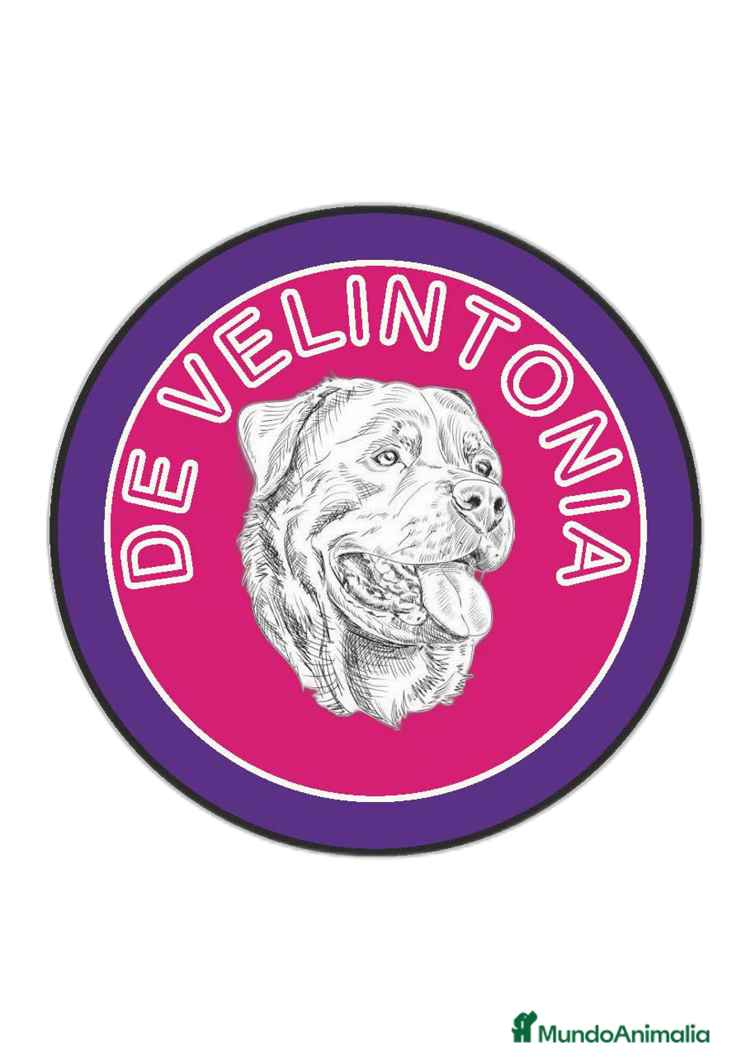 Imagen de galería {{count}}