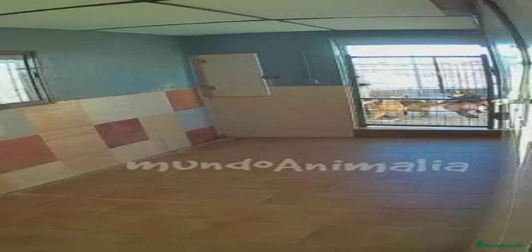 Imagen de galería {{count}}