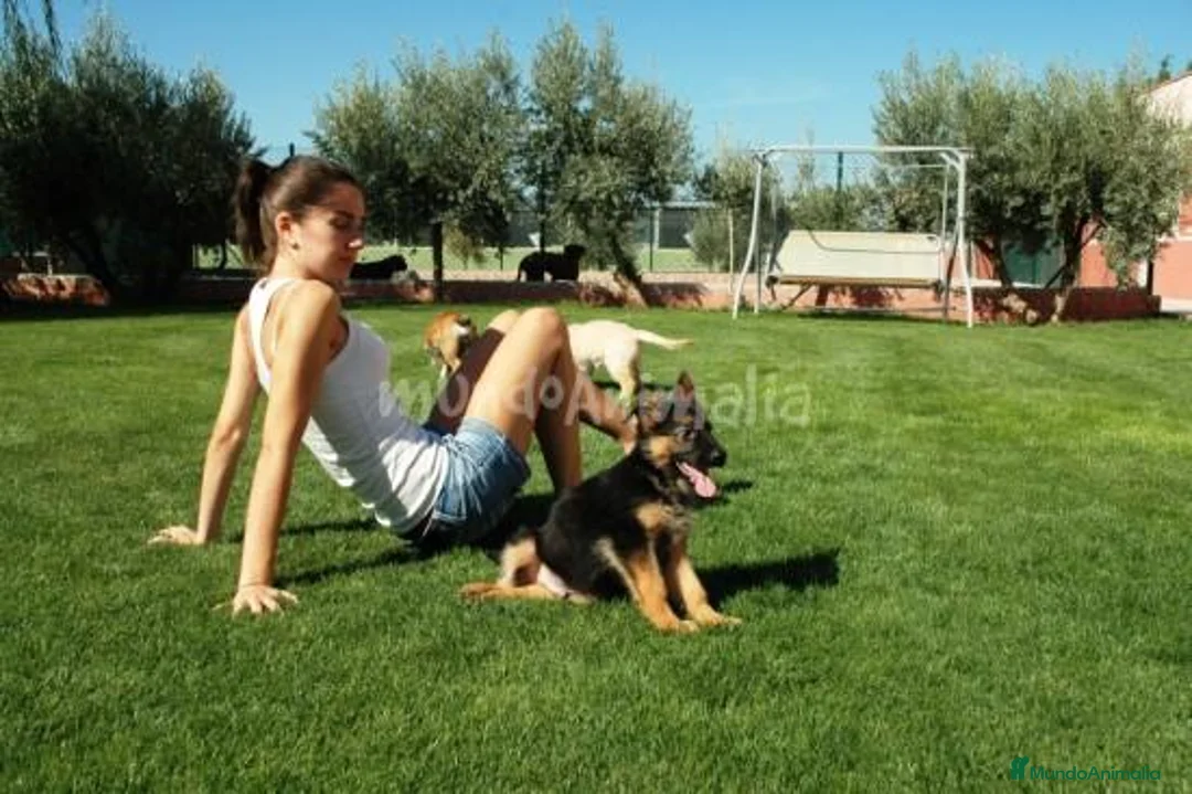 Imagen de galería {{count}}