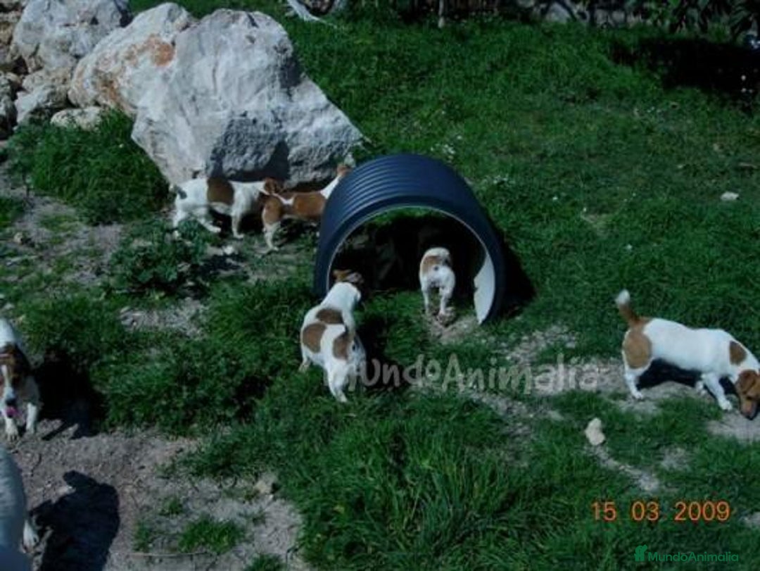Imagen de galería {{count}}