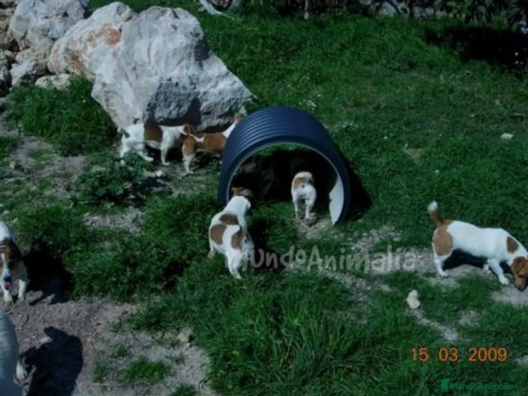 Imagen de galería {{count}}