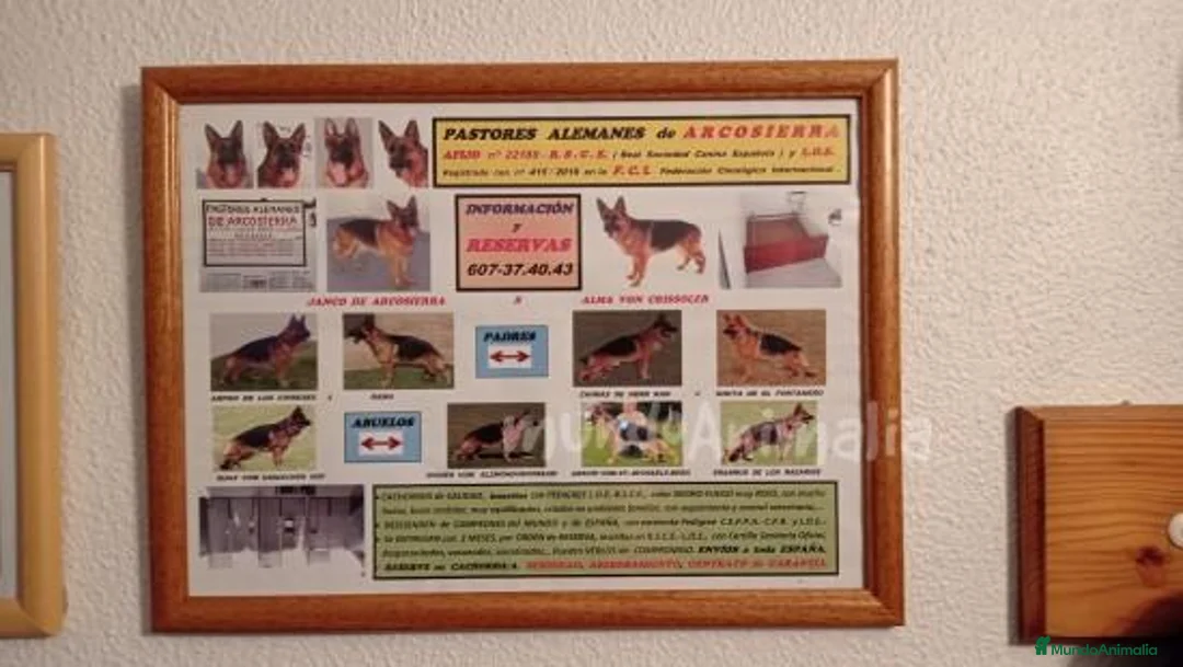 Imagen de galería {{count}}