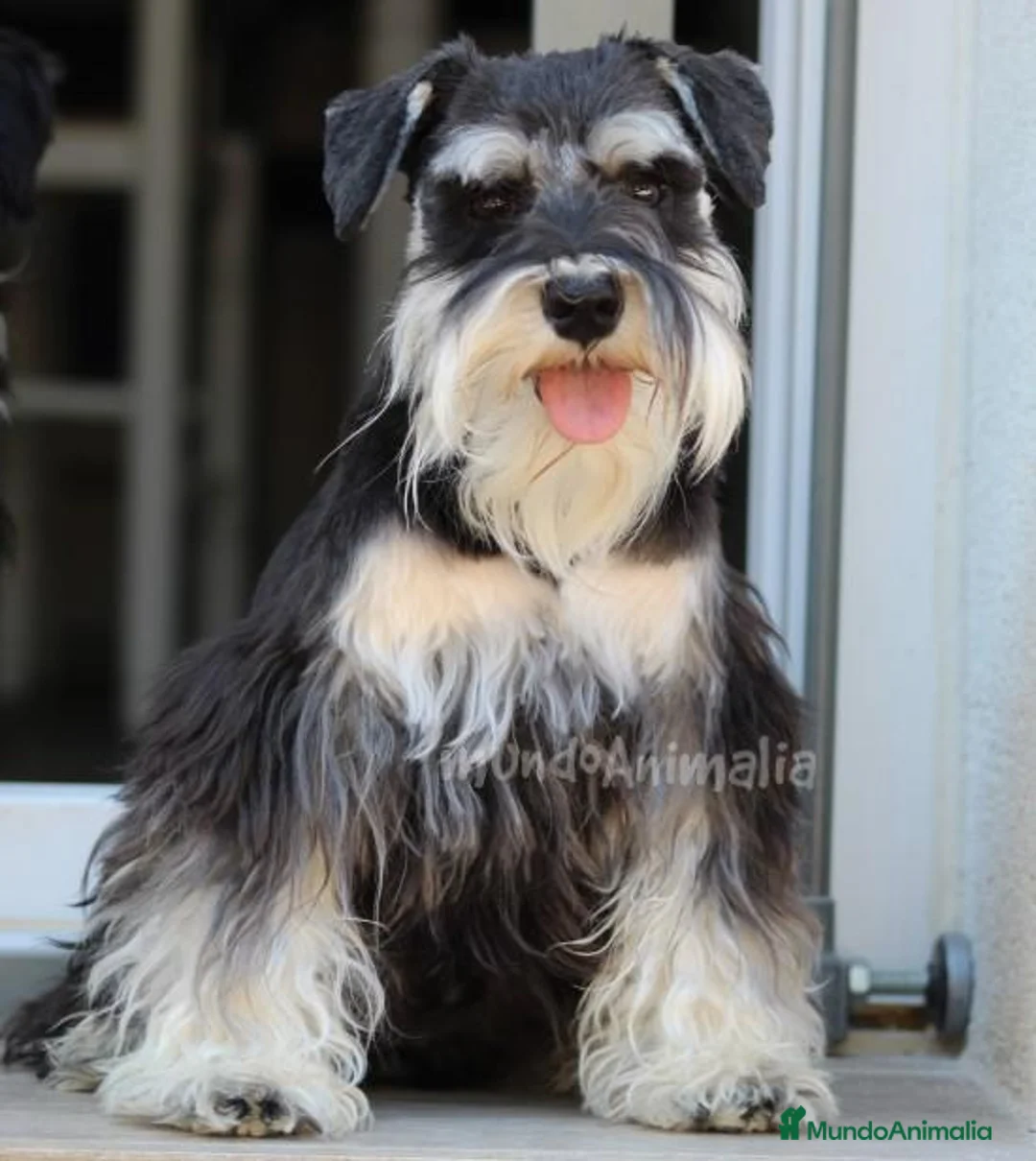 Imagen de galería {{count}}