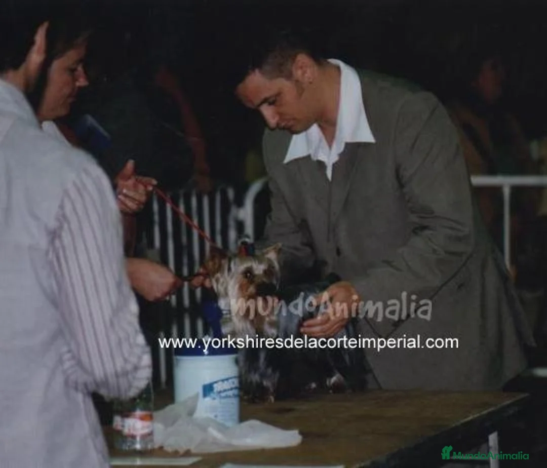 Imagen de galería {{count}}