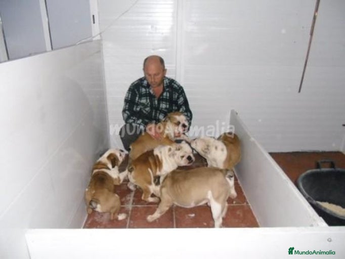 Imagen de galería {{count}}