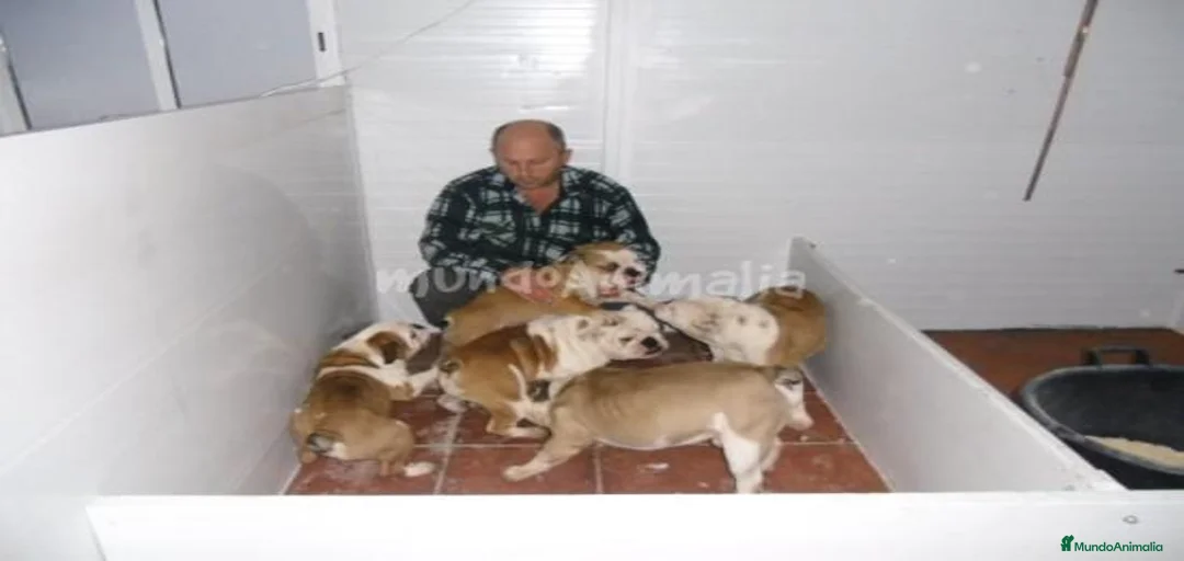 Imagen de galería {{count}}