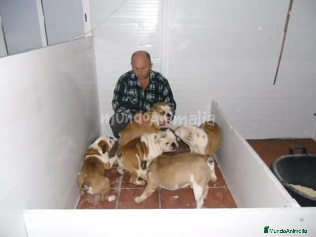 Imagen de galería {{count}}