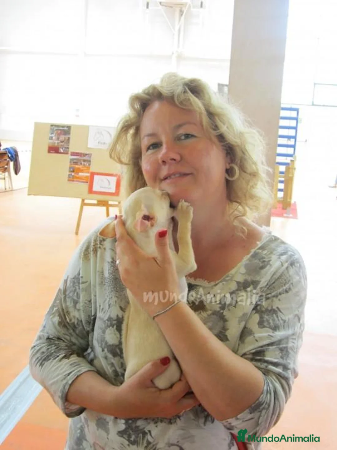 Imagen de galería {{count}}