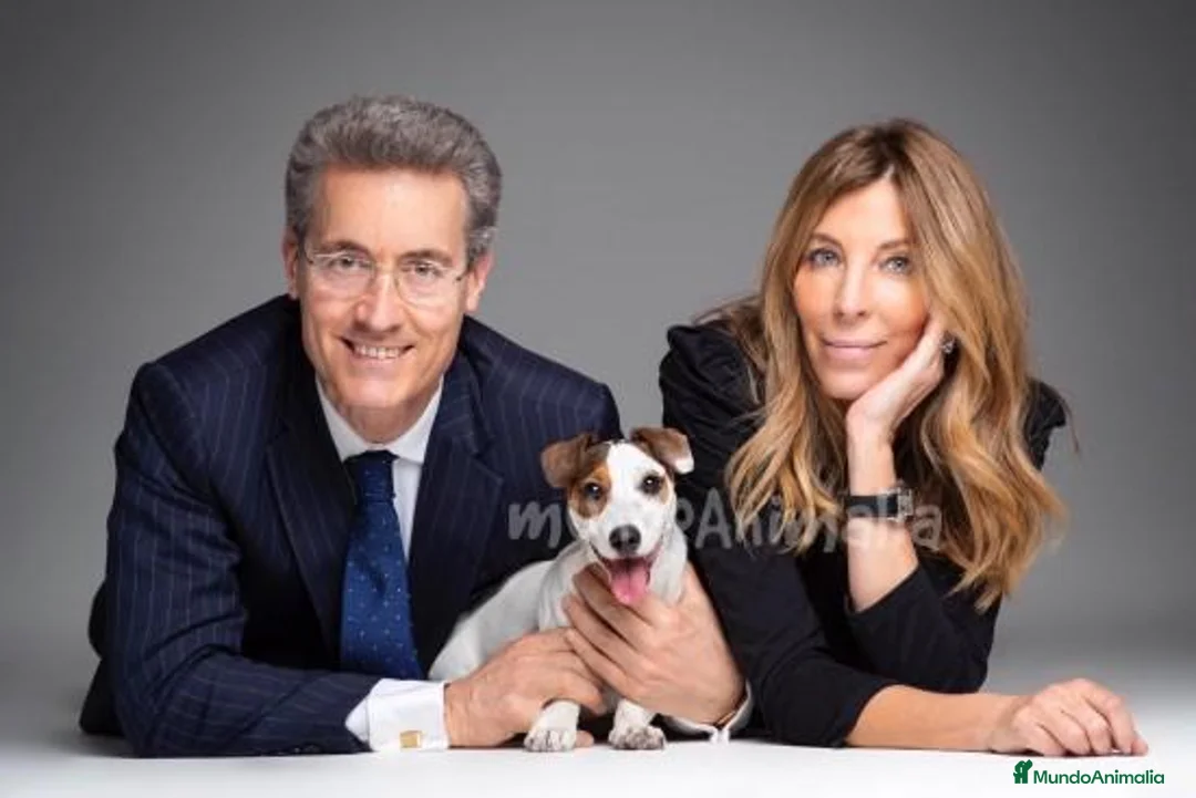 Imagen de galería {{count}}