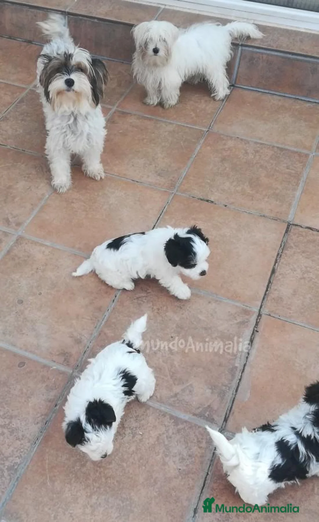 Imagen de galería {{count}}