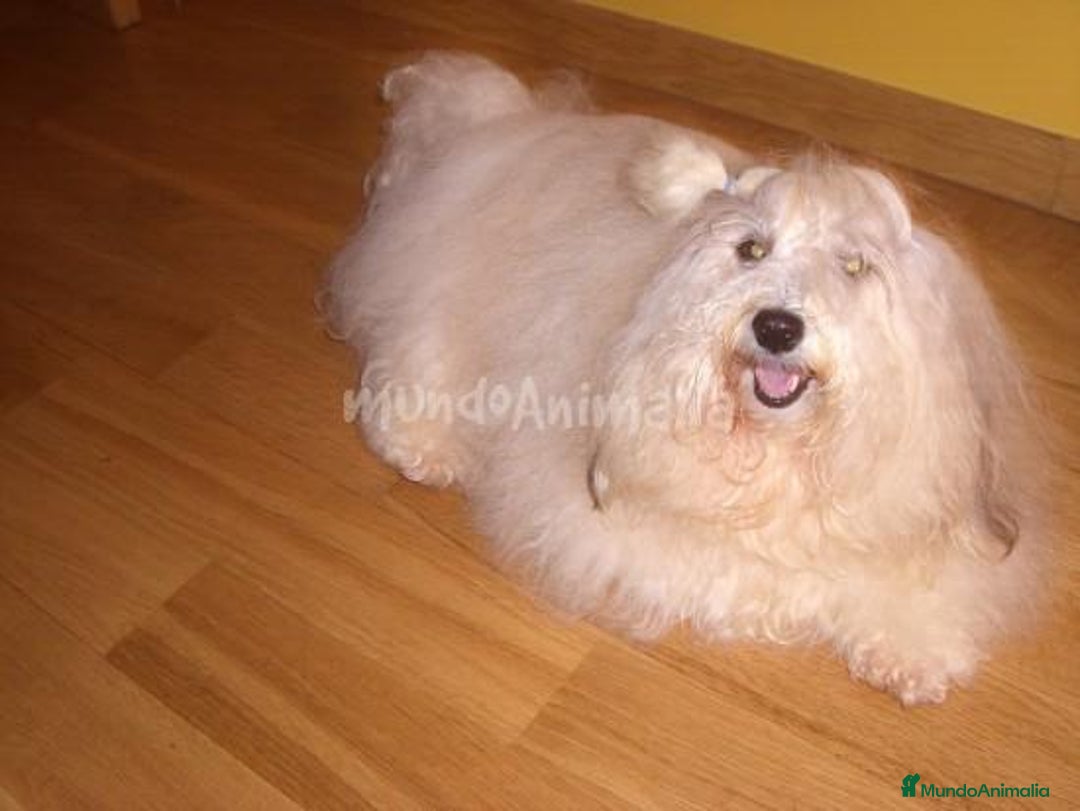 Imagen de galería {{count}}