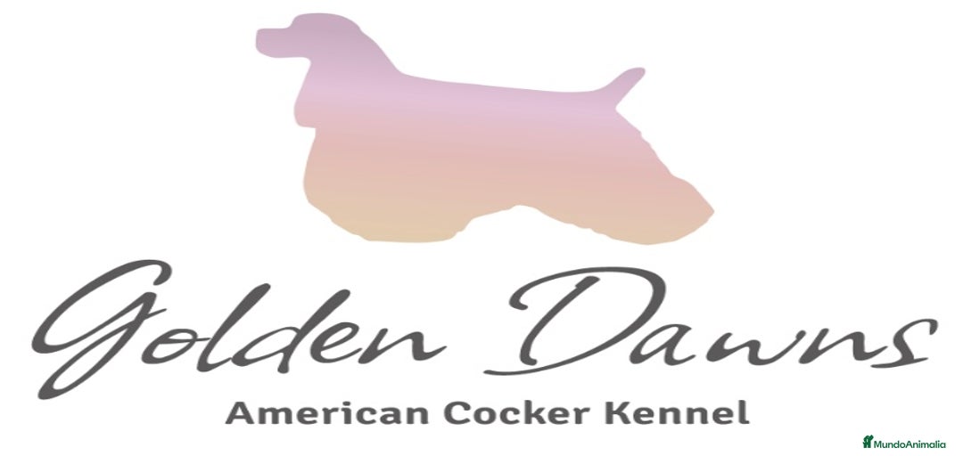 Imagen de galería {{count}}