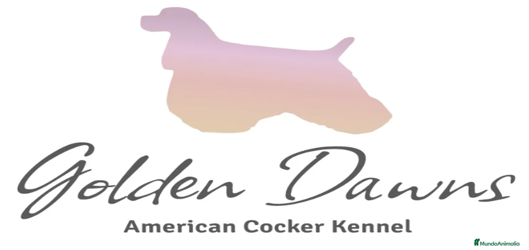 Imagen de galería {{count}}