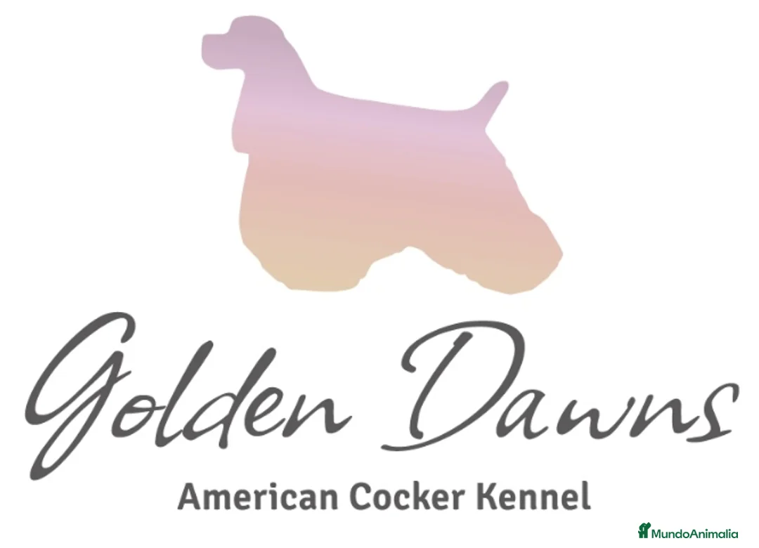 Imagen de galería {{count}}