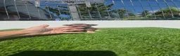 Chihuahua perros en venta: Chihuahuas minis 604370339 - Anuncio 8