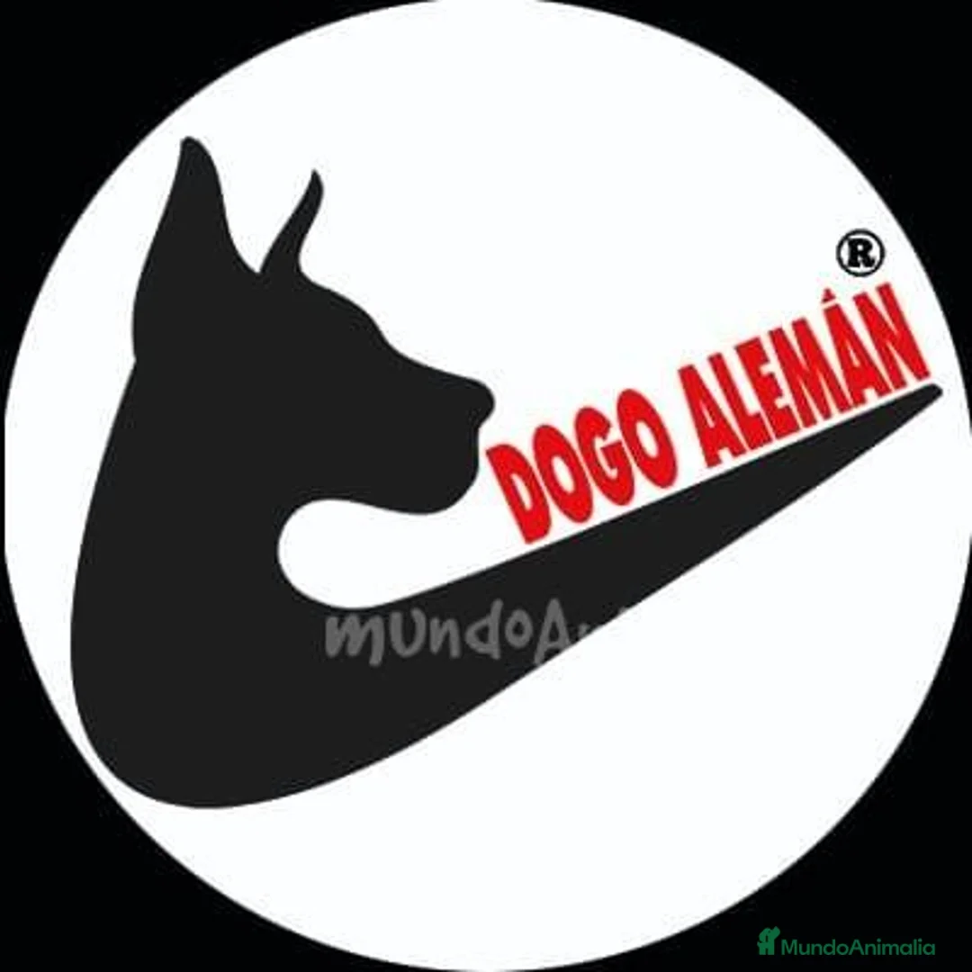 Imagen de galería {{count}}