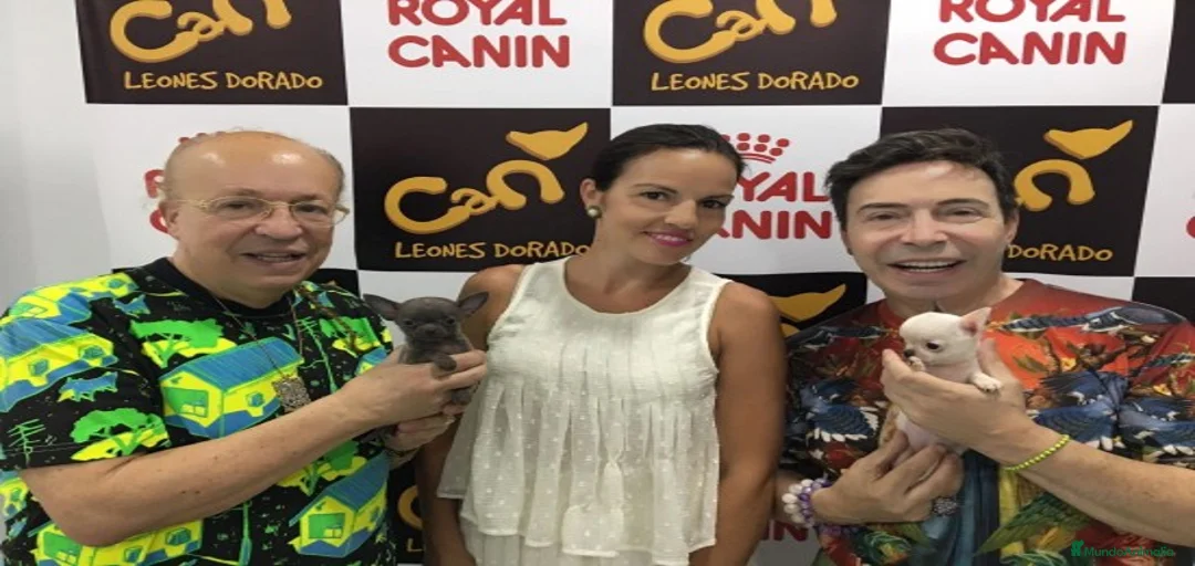 Imagen de galería {{count}}