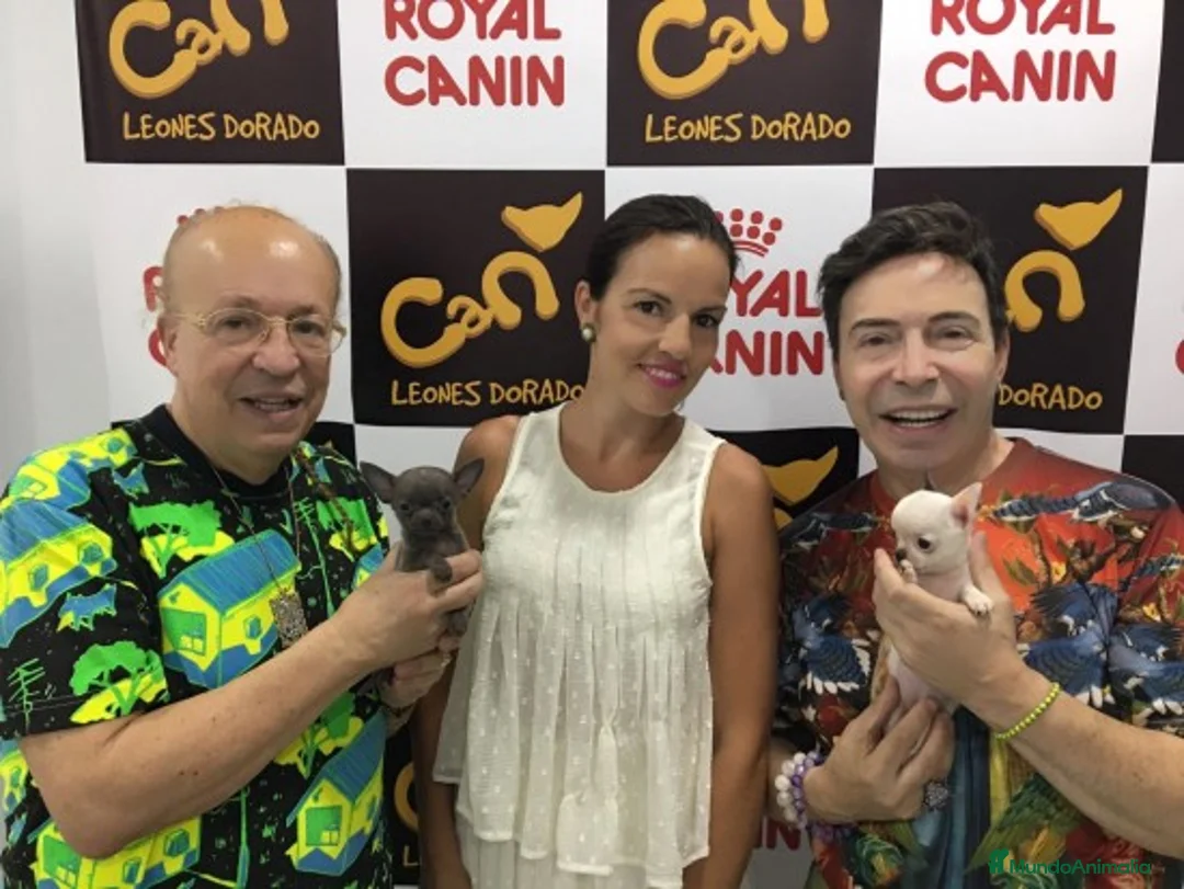 Imagen de galería {{count}}