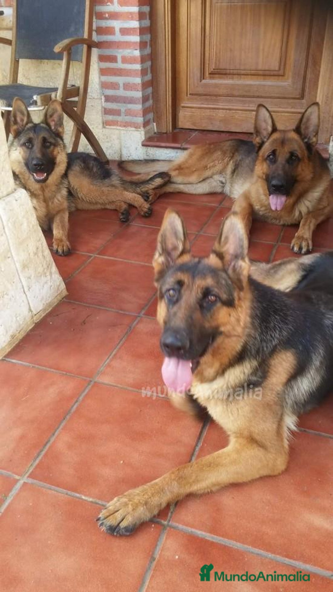 Imagen de galería {{count}}