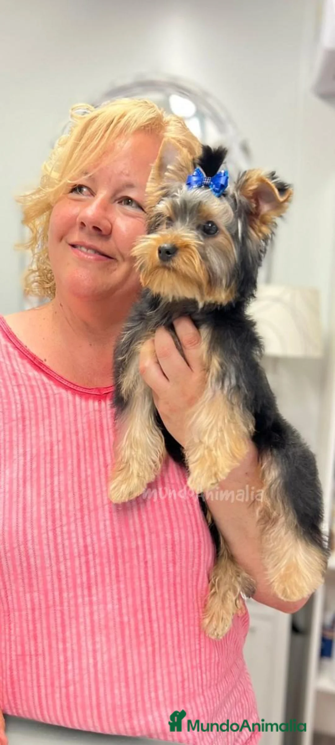 Imagen de galería {{count}}