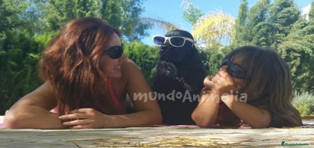 Imagen de galería {{count}}