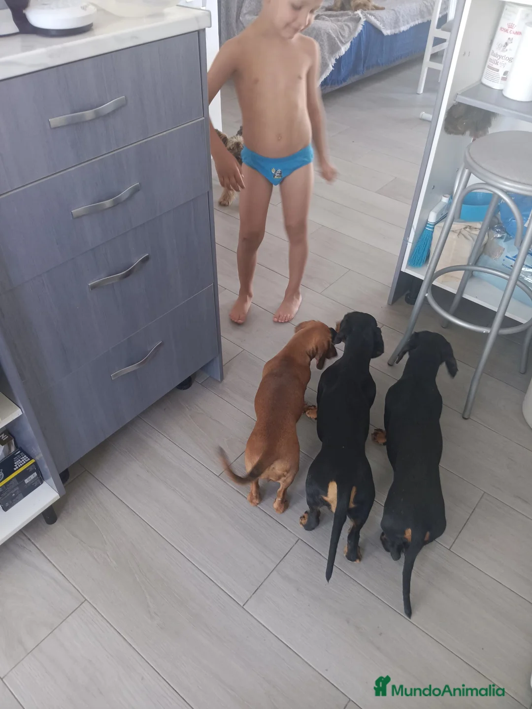 Imagen de galería {{count}}