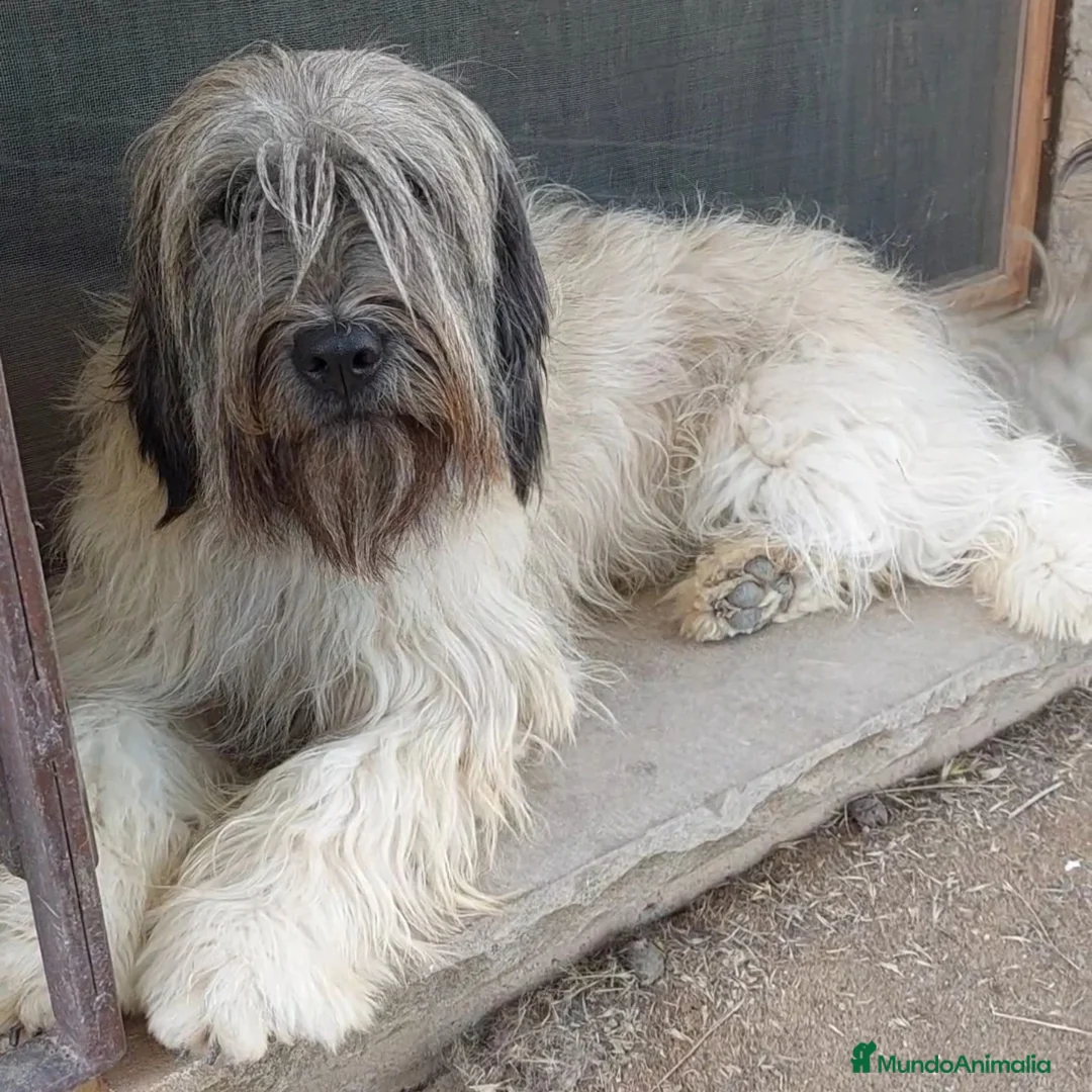 Imagen de galería {{count}}