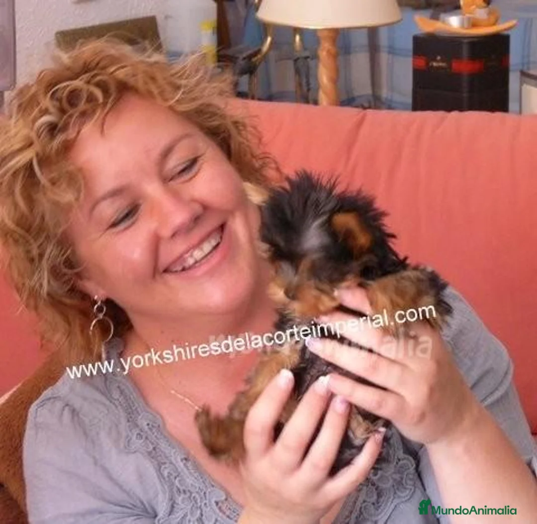 Imagen de galería {{count}}