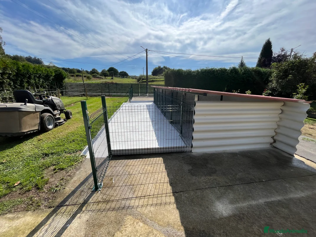 Imagen de galería {{count}}