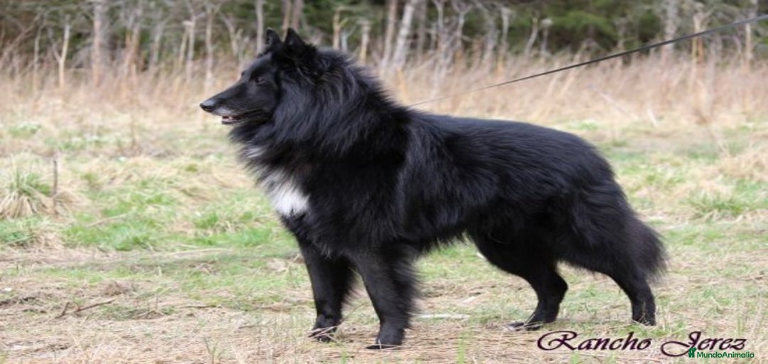 Imagen de galería {{count}}