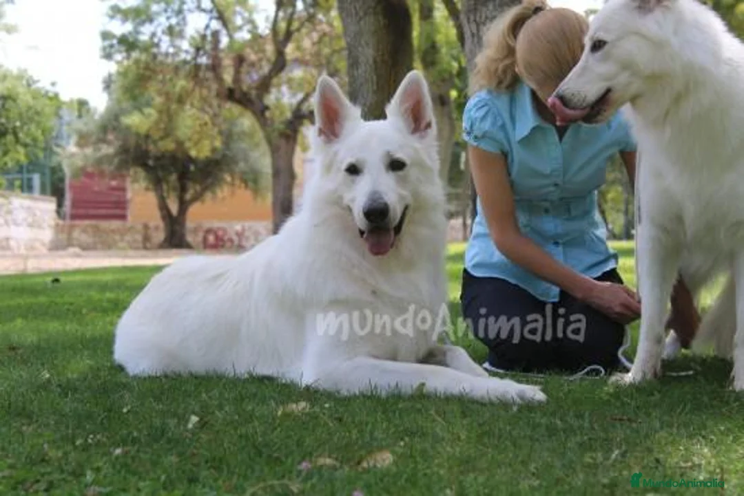 Imagen de galería {{count}}