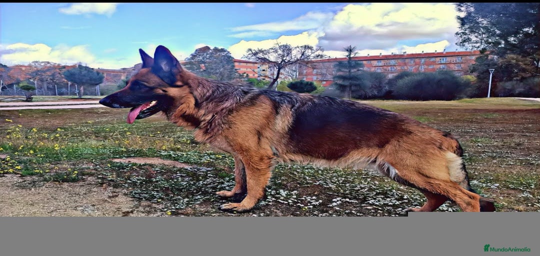 Imagen de galería {{count}}