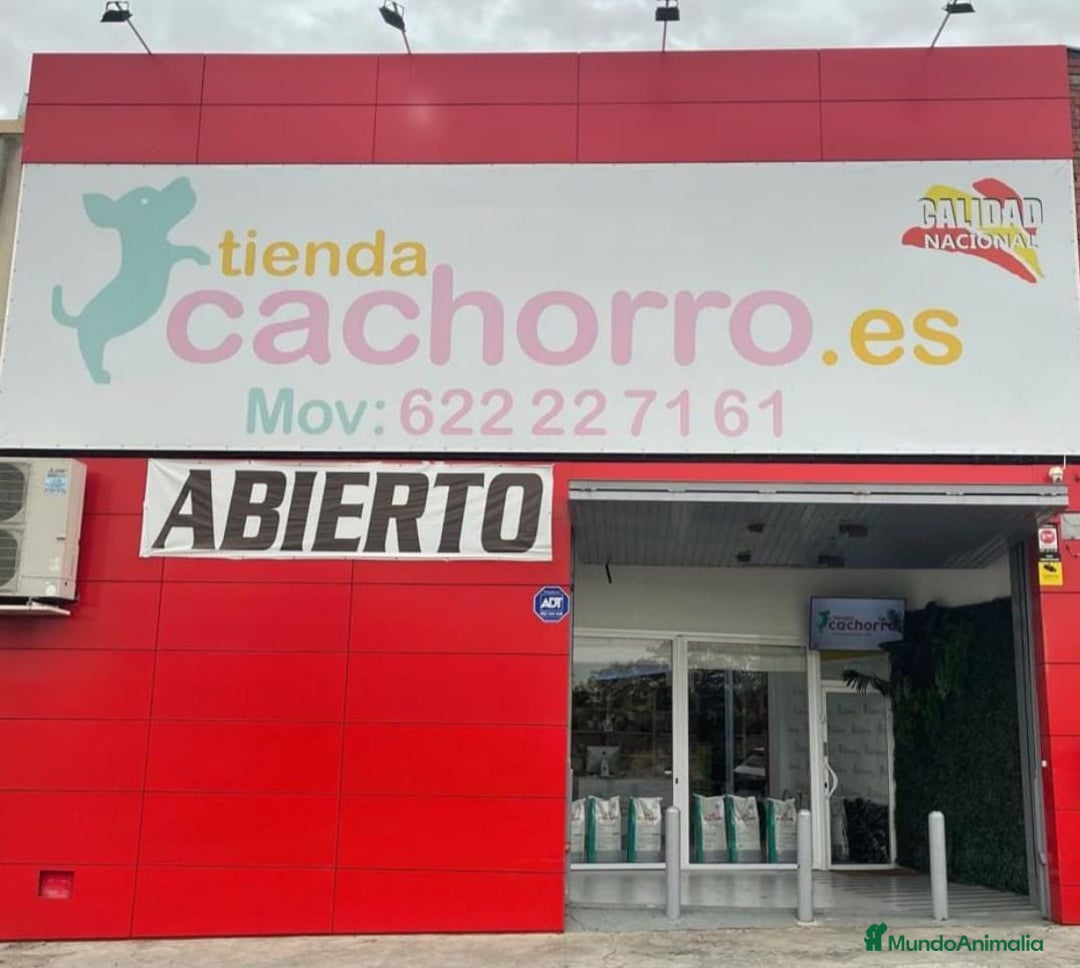 Imagen de galería {{count}}