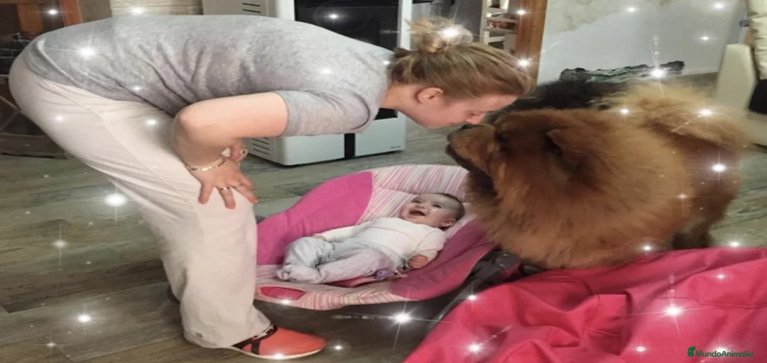 Imagen de galería {{count}}