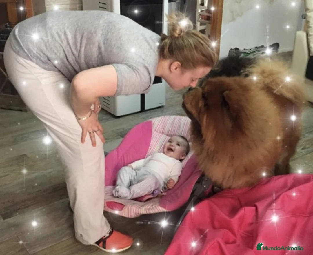 Imagen de galería {{count}}