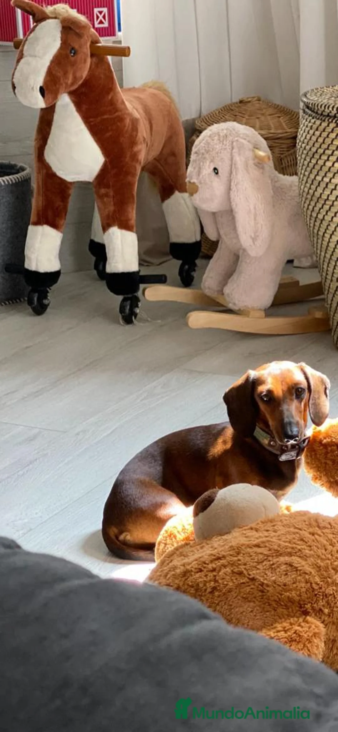 Imagen de galería {{count}}