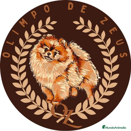 Imagen de galería {{count}}