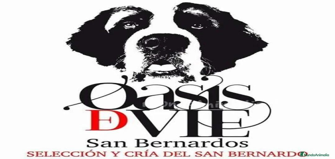 Imagen de galería {{count}}