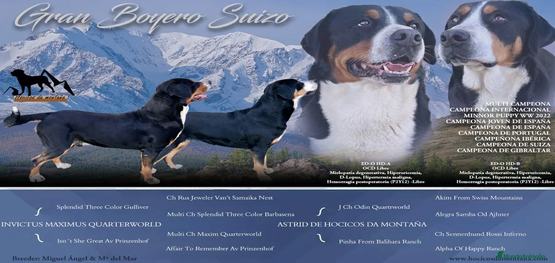 Imagen de galería {{count}}