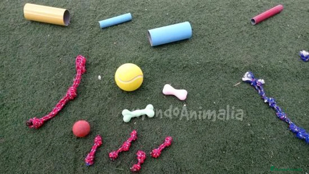 Imagen de galería {{count}}