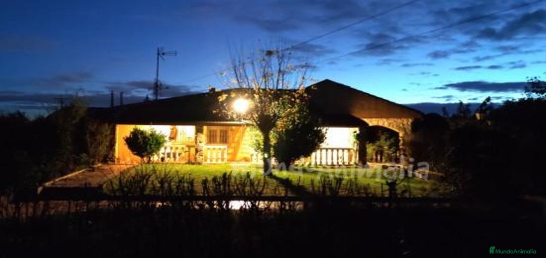 Imagen de galería {{count}}