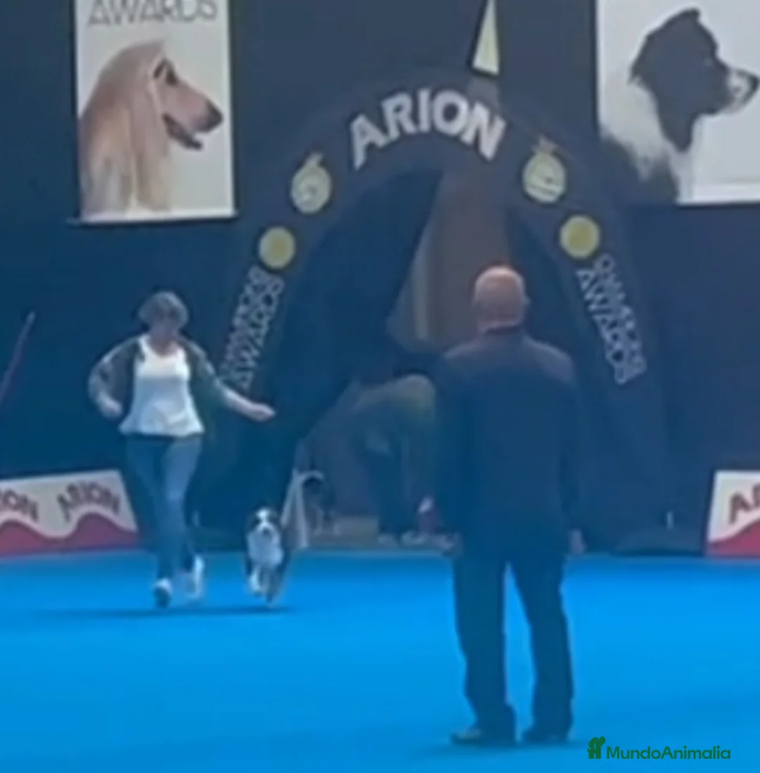 Imagen de galería {{count}}