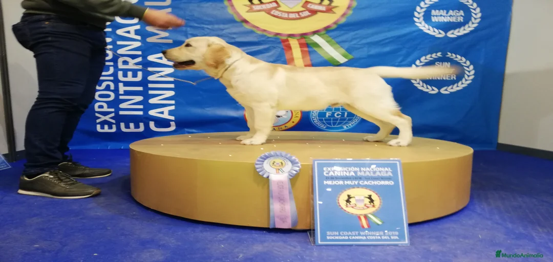 Imagen de galería {{count}}