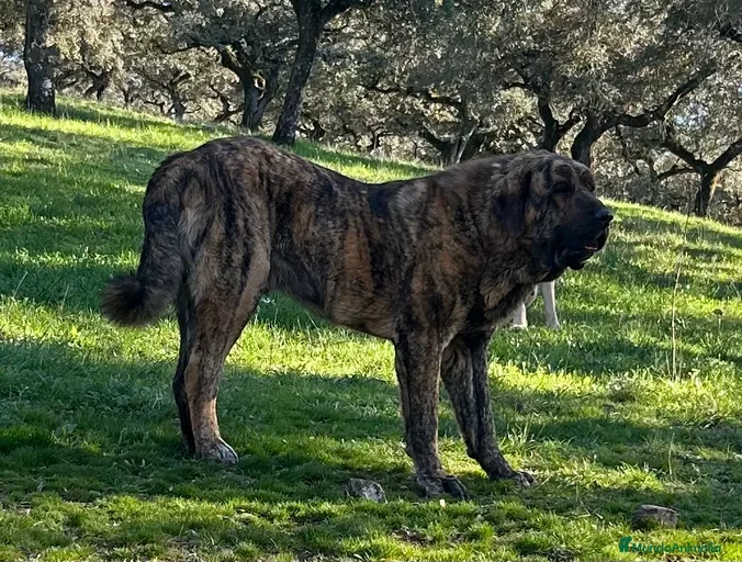 Imagen de galería {{count}}