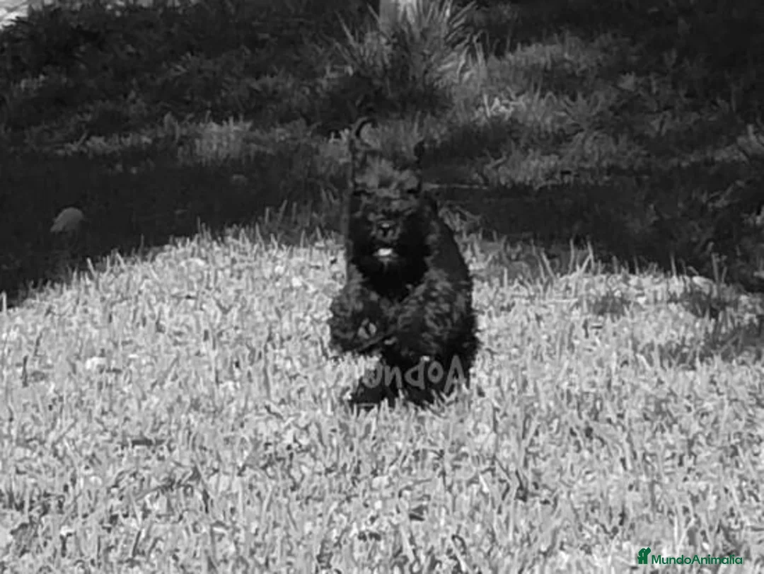 Imagen de galería {{count}}