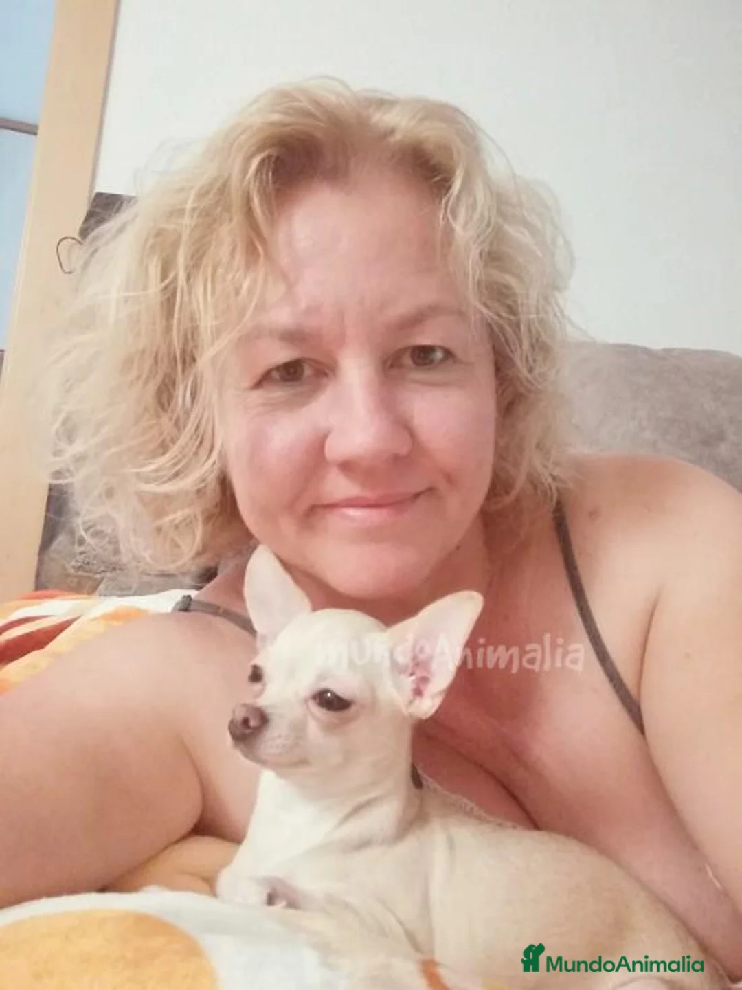 Imagen de galería {{count}}